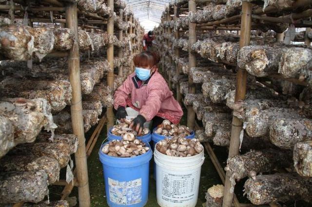 1648518124901822.jpeg 09-19-51-80-283825.jpeg