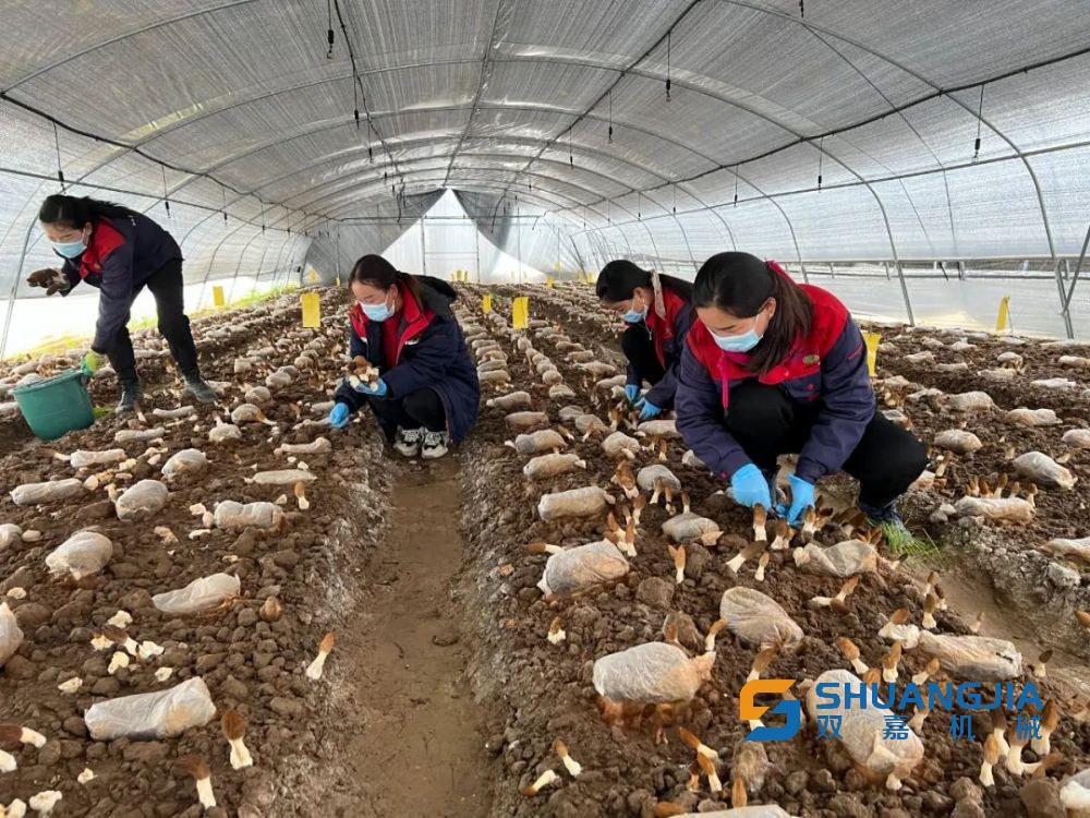 1648688879279219.jpg 16-57-06-21-283825.jpg