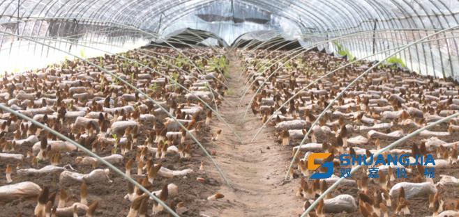 1649729110850083.png 16-22-16-55-283825.png