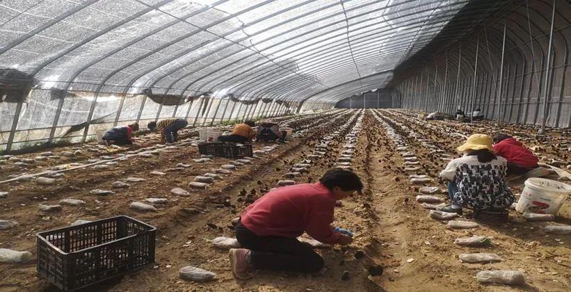 1650764423105009.jpeg 10-47-39-28-283825.jpeg