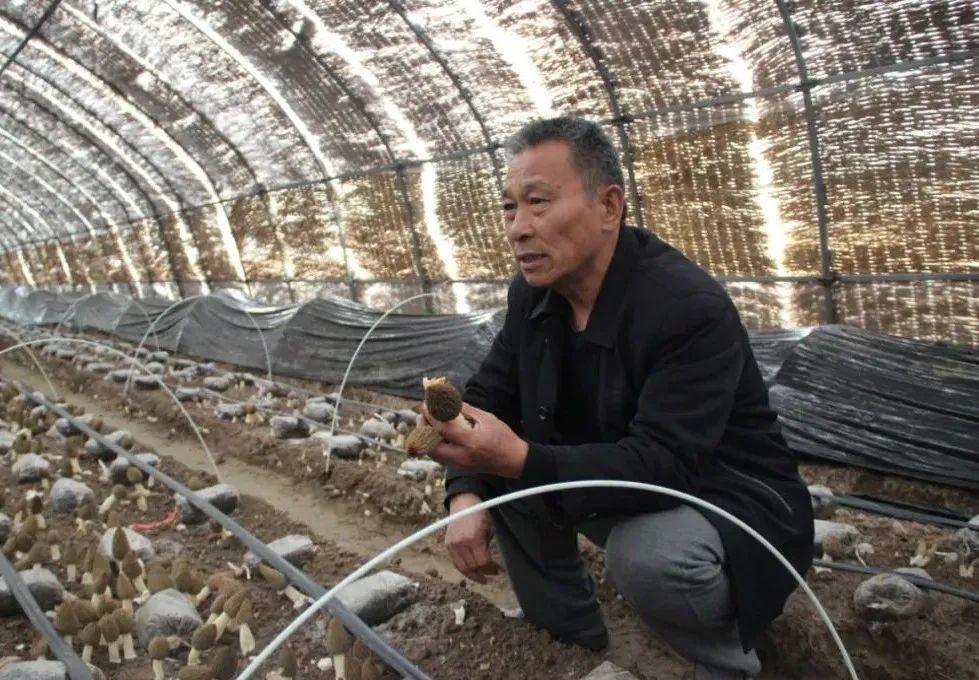 1653292522141905.jpeg 10-34-57-15-283825.jpeg