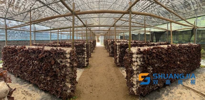 1654129542782764.jpg 15-46-49-47-283825.jpg