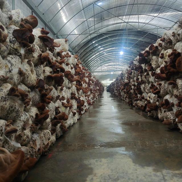 1654830646164211.jpeg 09-49-56-98-283825.jpeg