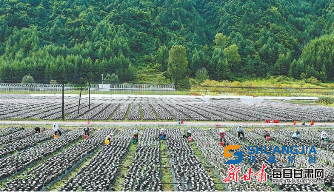 1661135416183814.jpg 17-11-17-81-283825.jpg