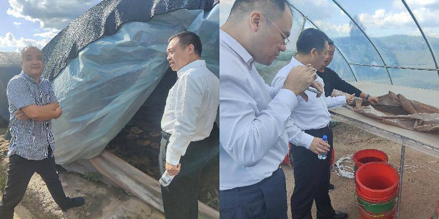 1662516881191112.jpeg 08-35-53-55-283825.jpeg