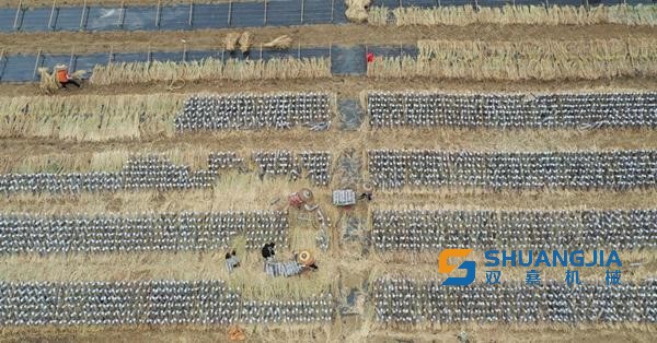 1664324790112461.jpg 下載.jpg