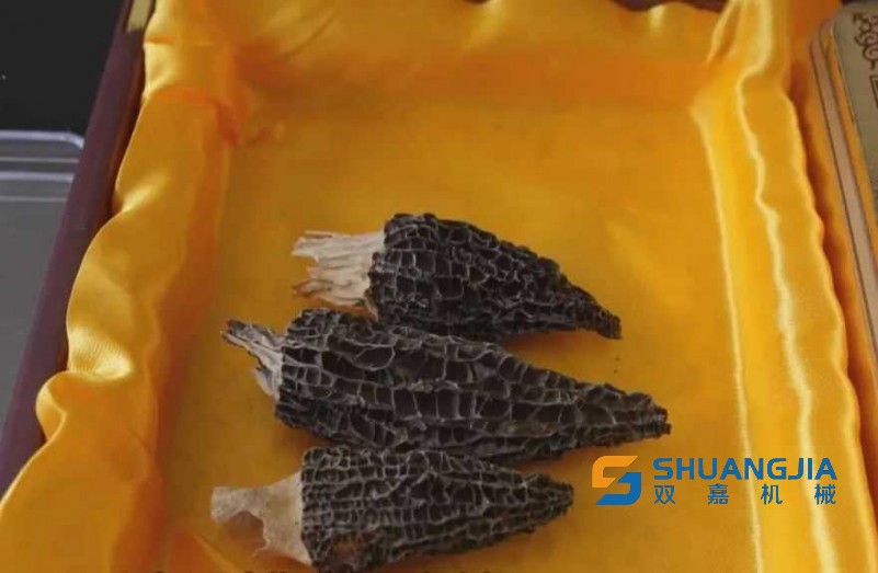 1683786938188017.jpg 10-39-06-57-283825.jpg