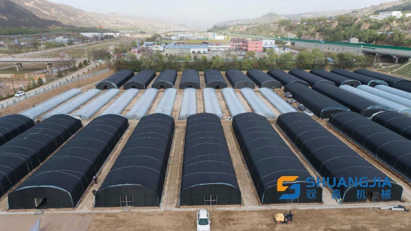 1684658495989357.jpg 10-12-41-62-283825.jpg